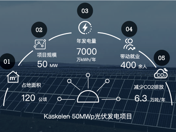 防疫復工兩不誤 遠程管理顯身手 寰泰能源在哈又一光伏電站落成